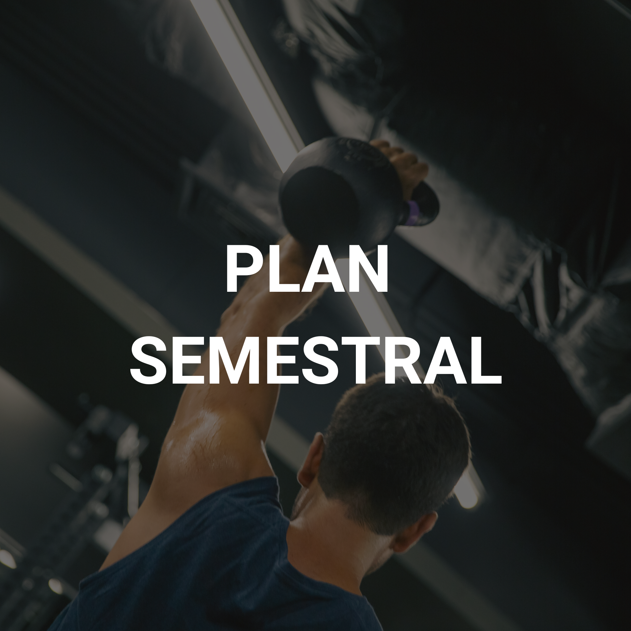 PLAN SEMESTRAL
