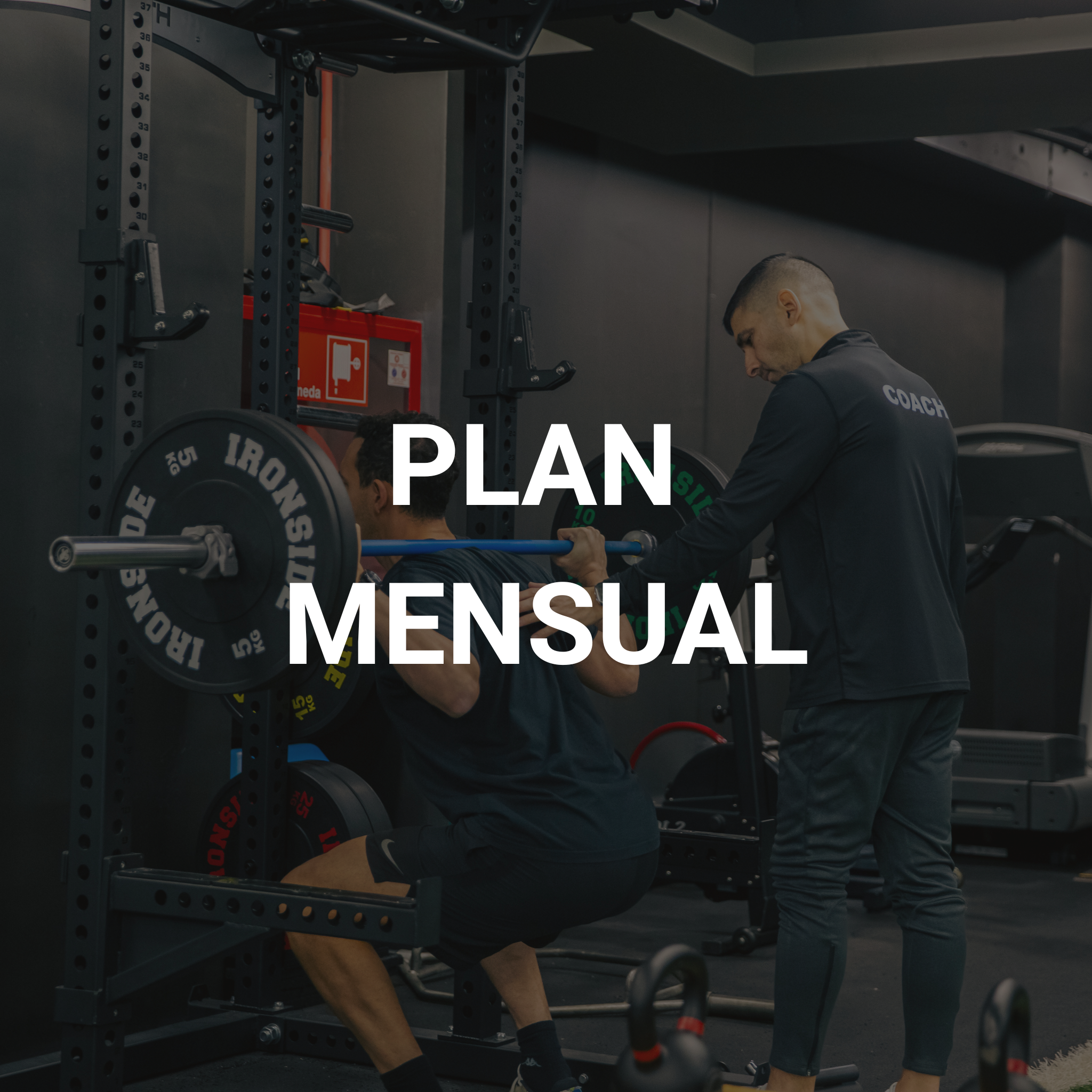 PLAN MENSUAL