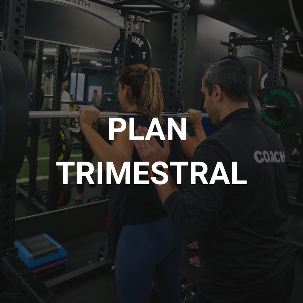 PLAN TRIMESTRAL
