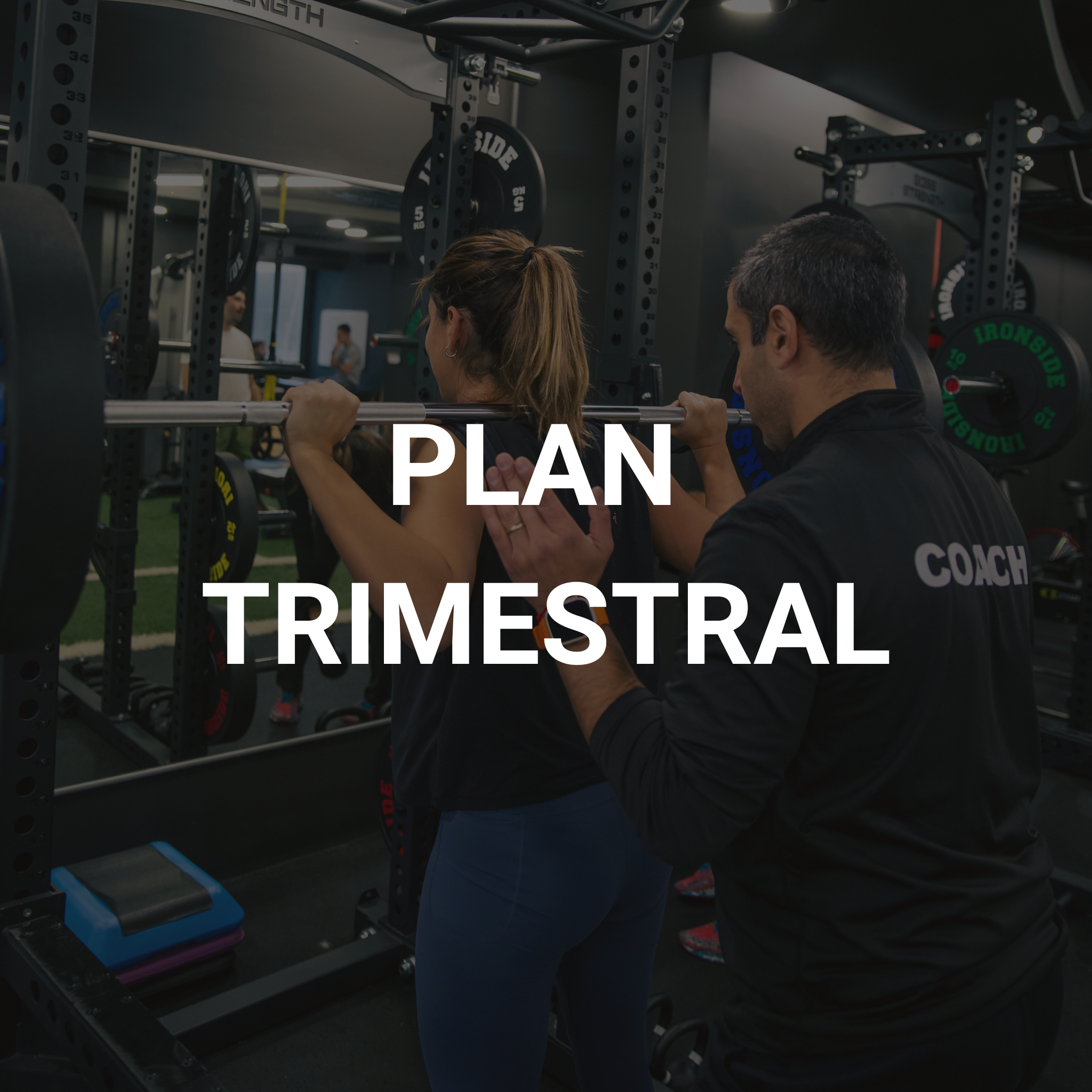 PLAN TRIMESTRAL
