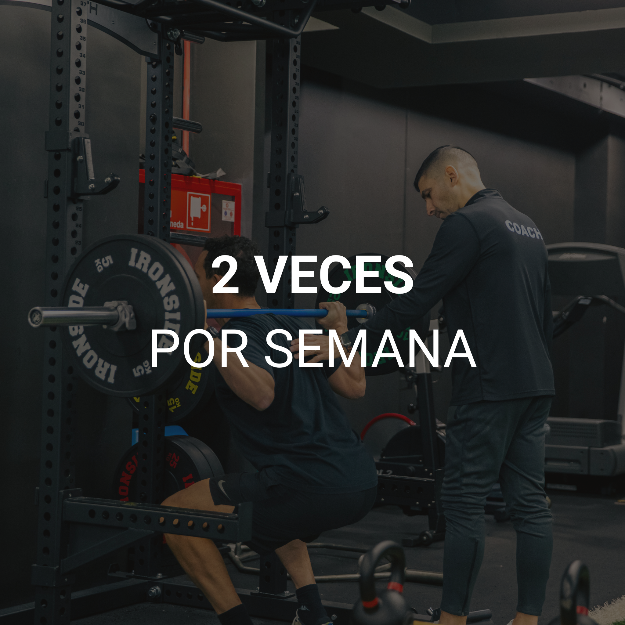 PLAN MENSUAL