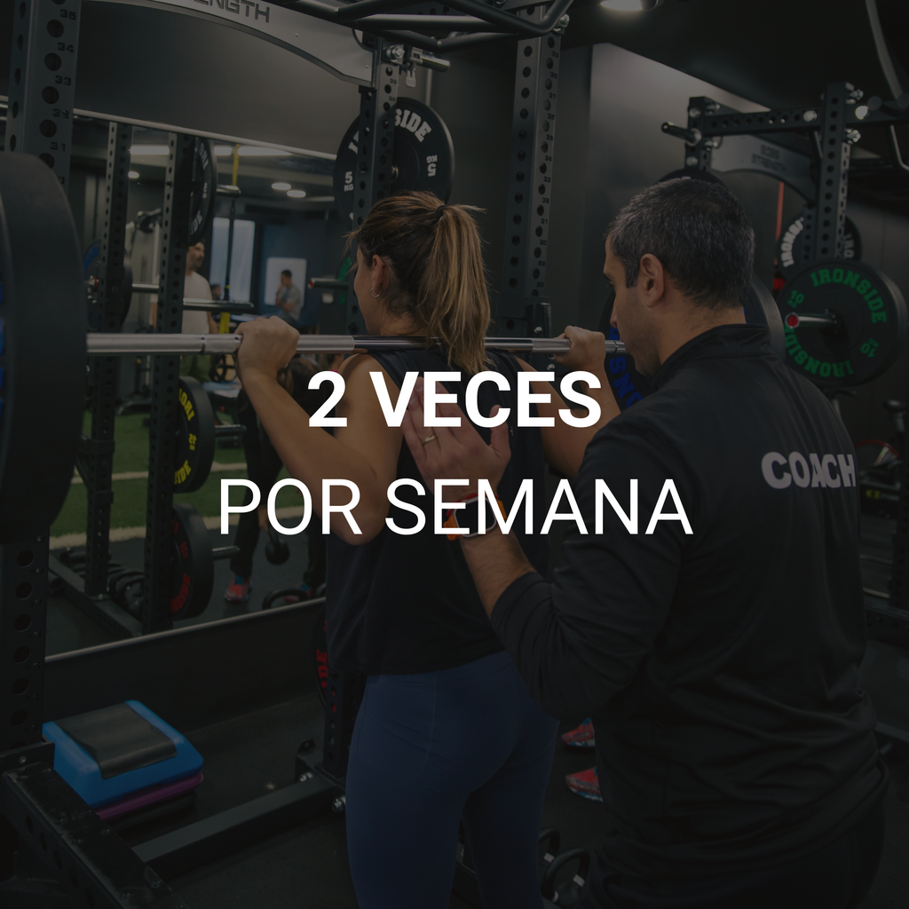 PLAN TRIMESTRAL