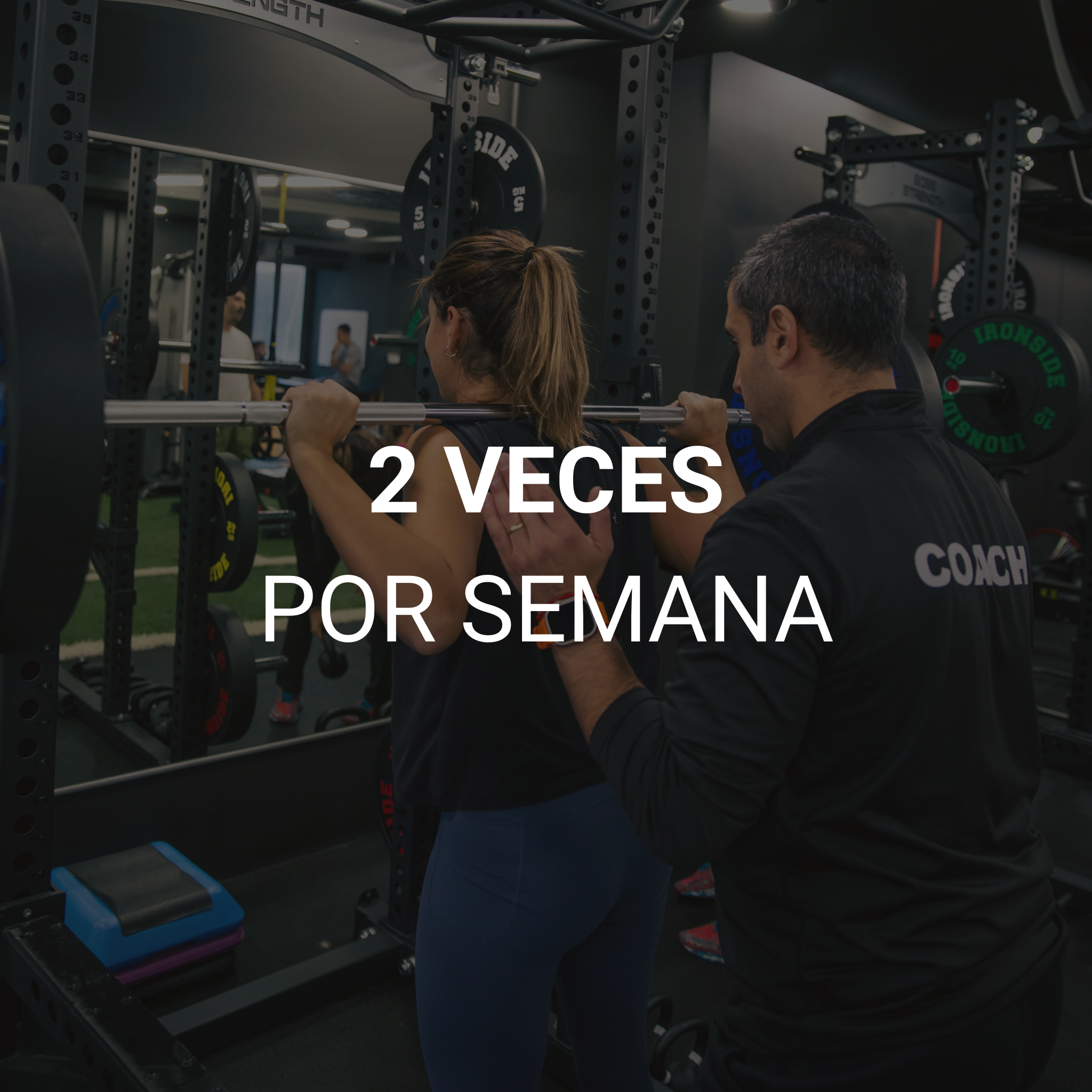 PLAN TRIMESTRAL