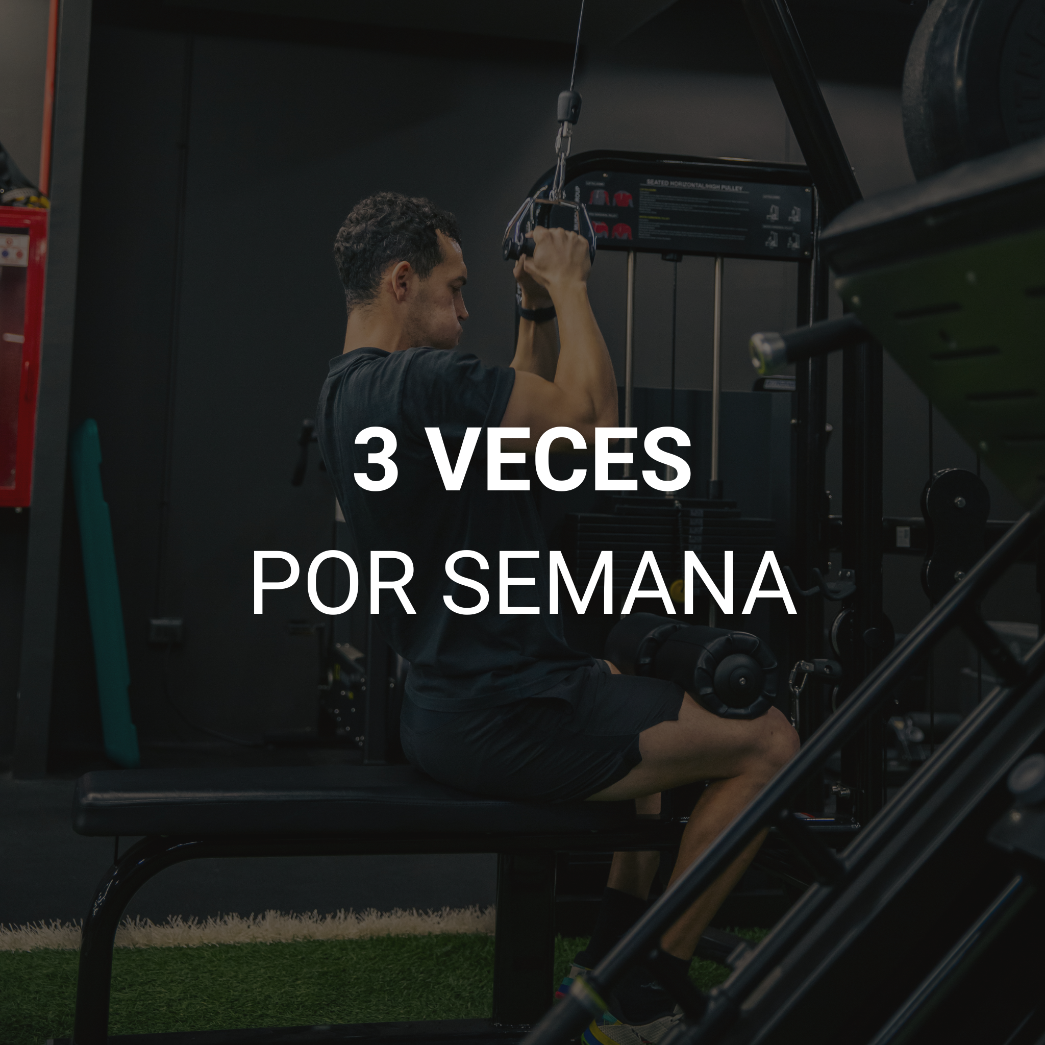 PLAN ANUAL