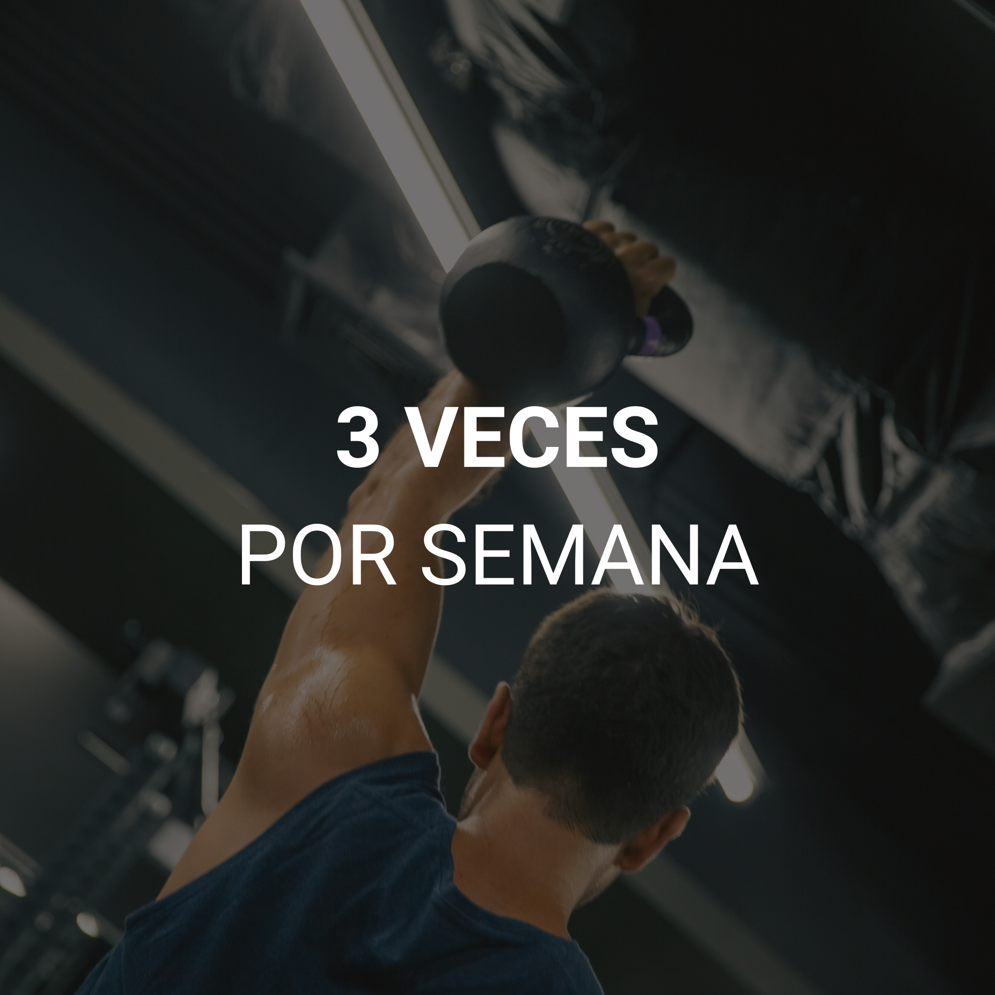 PLAN SEMESTRAL